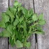 Warrigal spinach